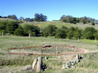 Vernal Pool, Stanford foothills