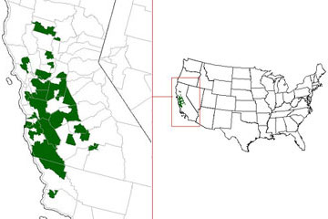 Distribution Map, ambystoma californiense